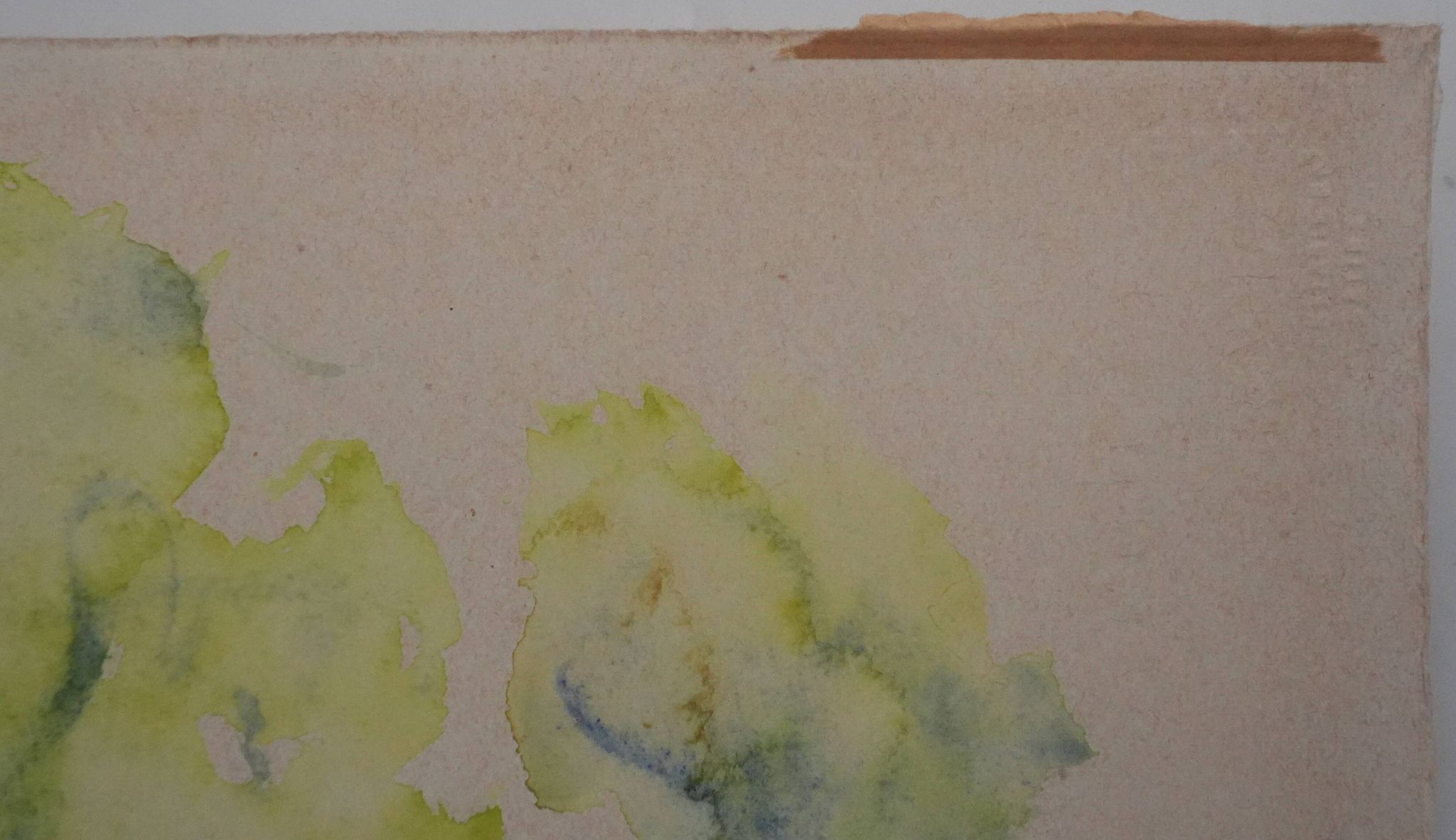 Ecole XXe : Le parc fleuri, aquarelle originale signée