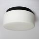 Opaline ceiling light RZB light