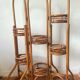 Rattan plant stand screen