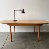 Grande table de salle à manger extensible de style moderne du milieu du siècle, années 1960, par Schreiber