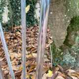 Vintage coat rack 70s