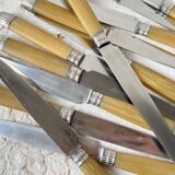 12 vintage Pradel stainless steel bakelite knives