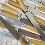 12 vintage Pradel stainless steel bakelite knives