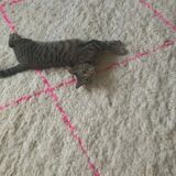 Handmade traditional beni ourain rug size 100 x 300 cm