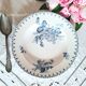 Antique deep plates in ironstone from Sarreguemines.