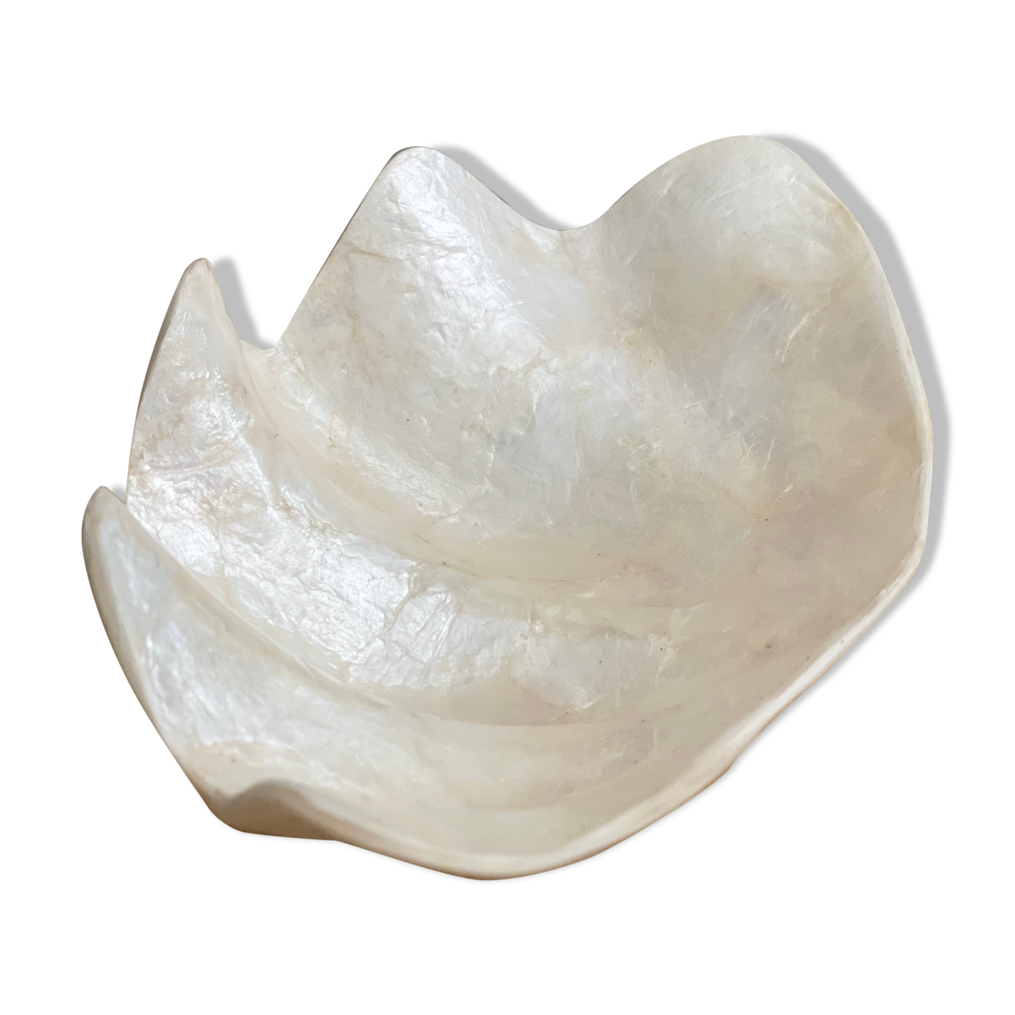 Pearly white shell benign cup