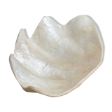 Pearly white shell benign cup