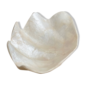 Pearly white shell benign cup