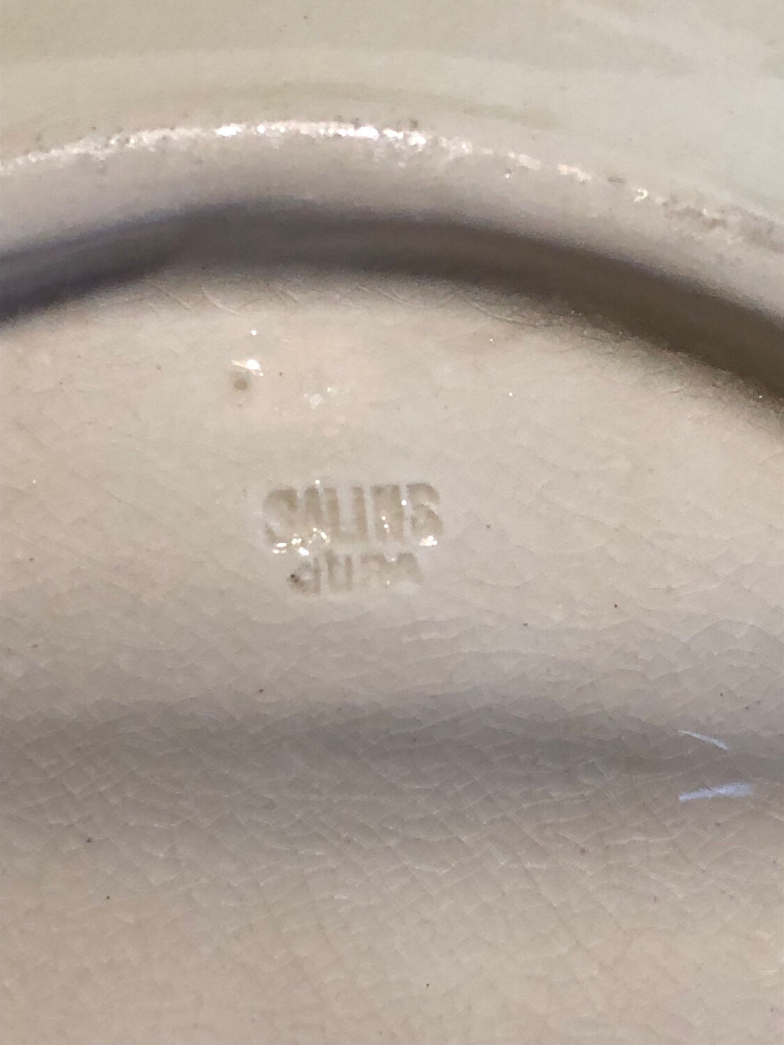 6 old Salins asparagus plates