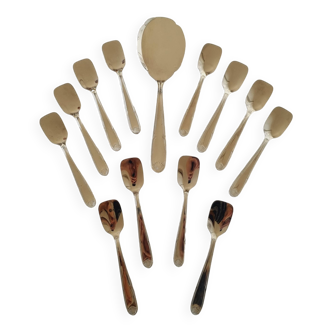 Box with 12 vintage spoons and spoon for serving ice cream in stainless steel