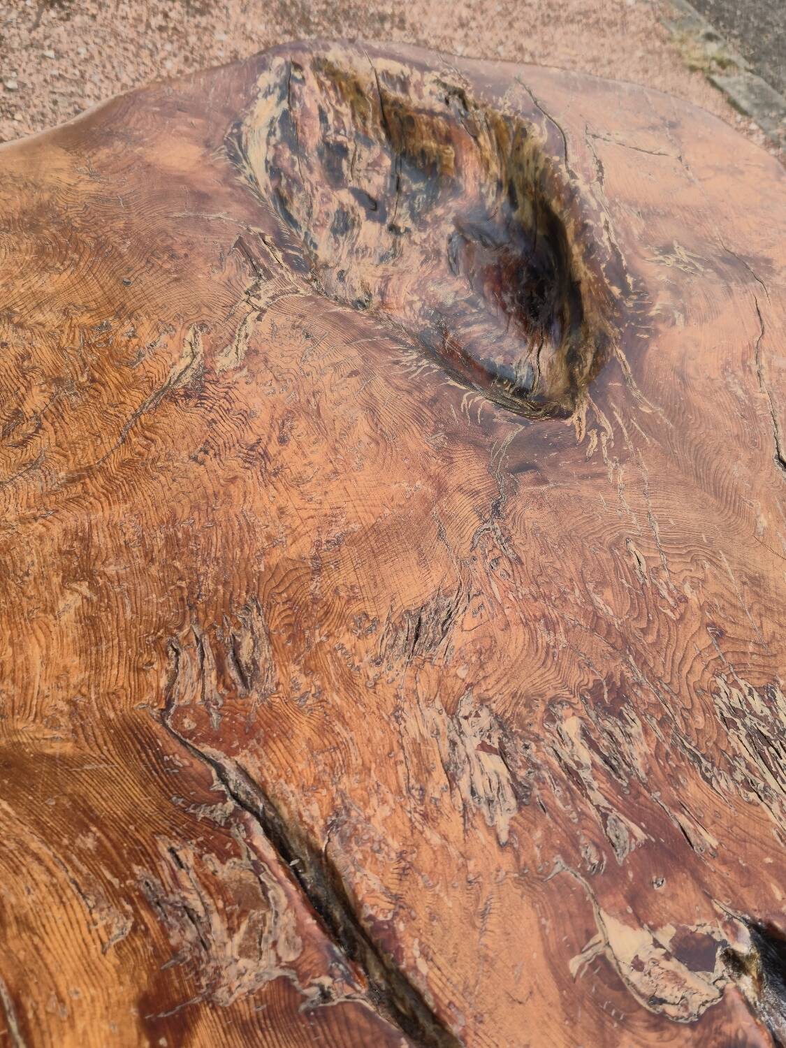 Brutalist coffee table made from solid elm tree trunk, 1950s