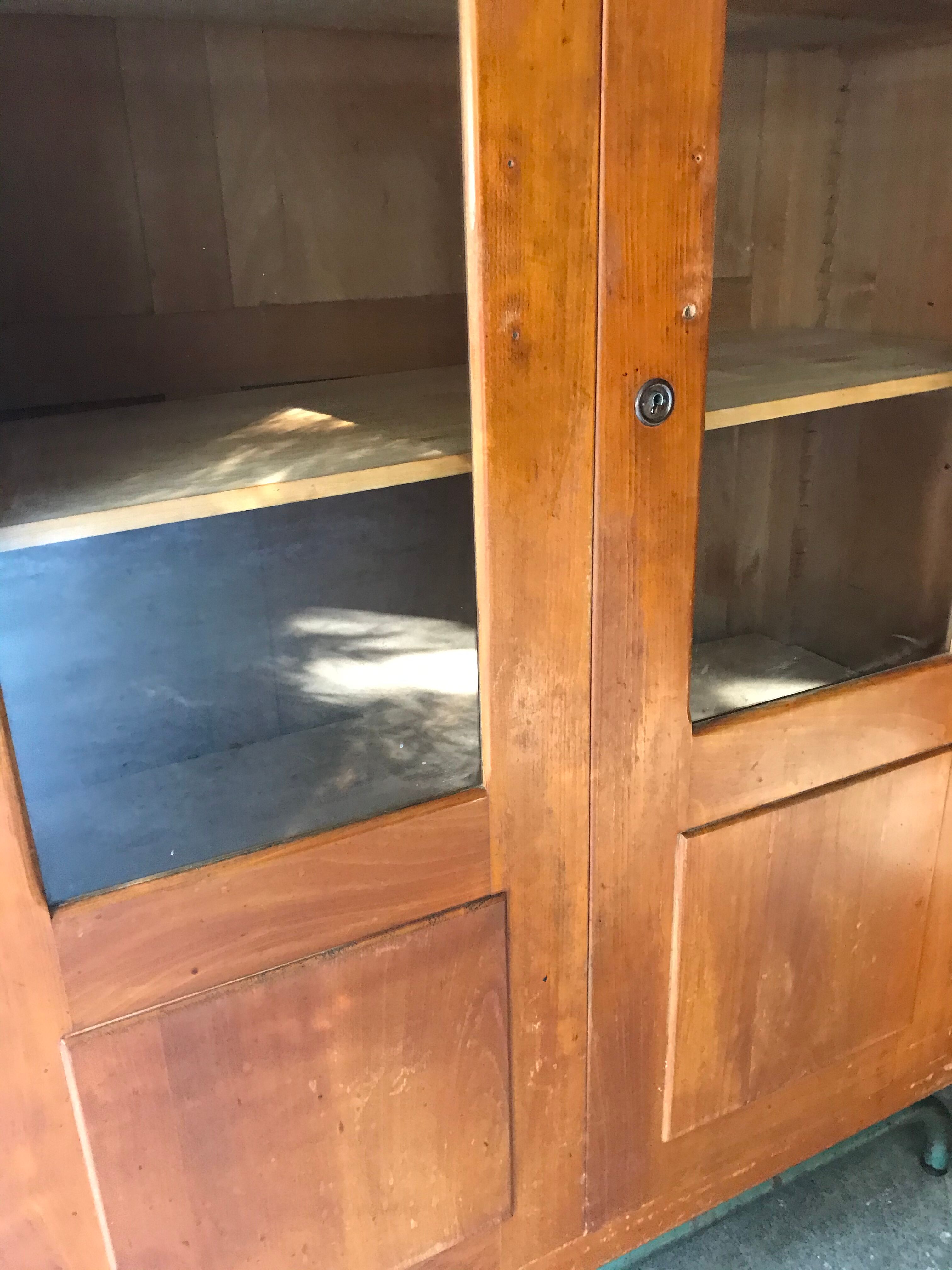 Vintage school library