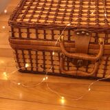Picnic trunk