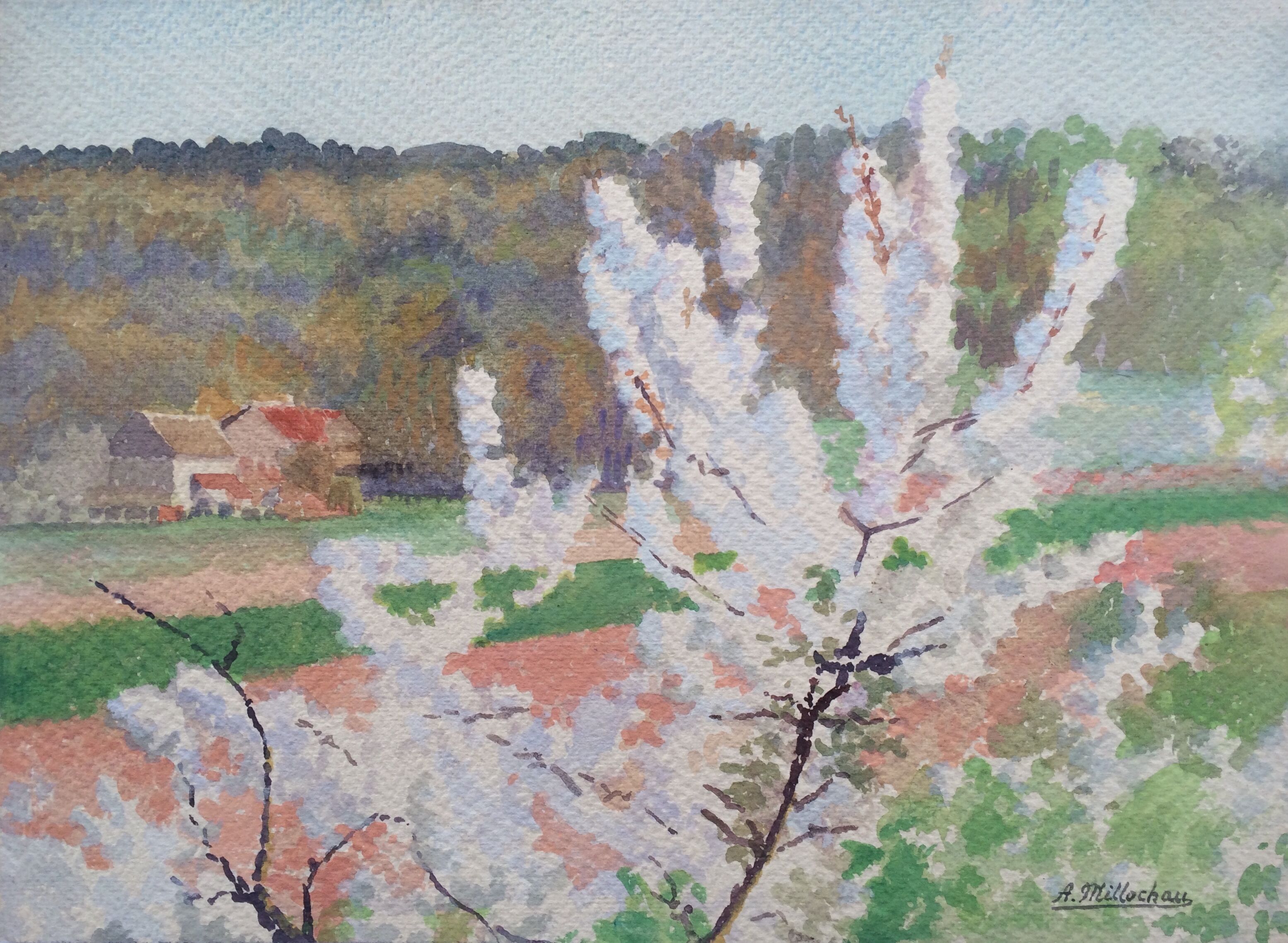 Cherry blossom branch. Gouache on signed paper