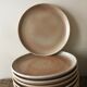 Lot of 11 dinner plates in beige sandstone Niderviller