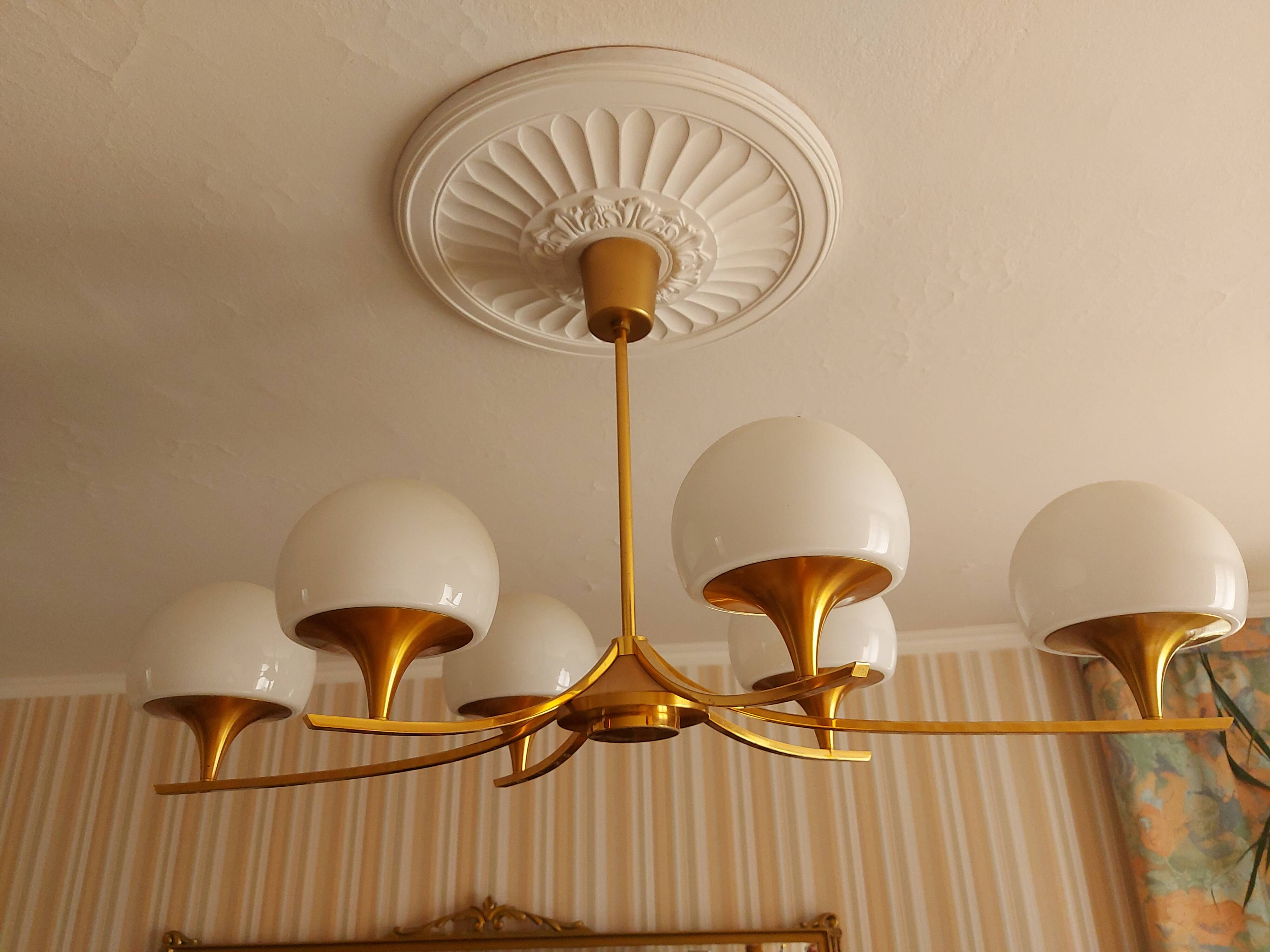 sciolari 6 lights chandelier