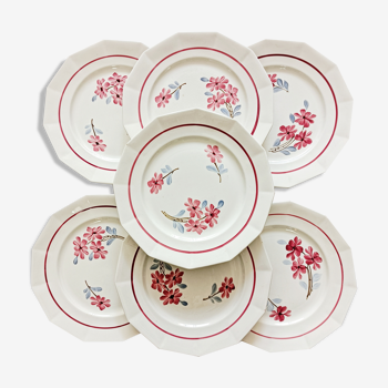 7 assiettes plates St-Amand Ceranord