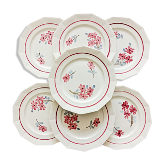 7 assiettes plates St-Amand Ceranord