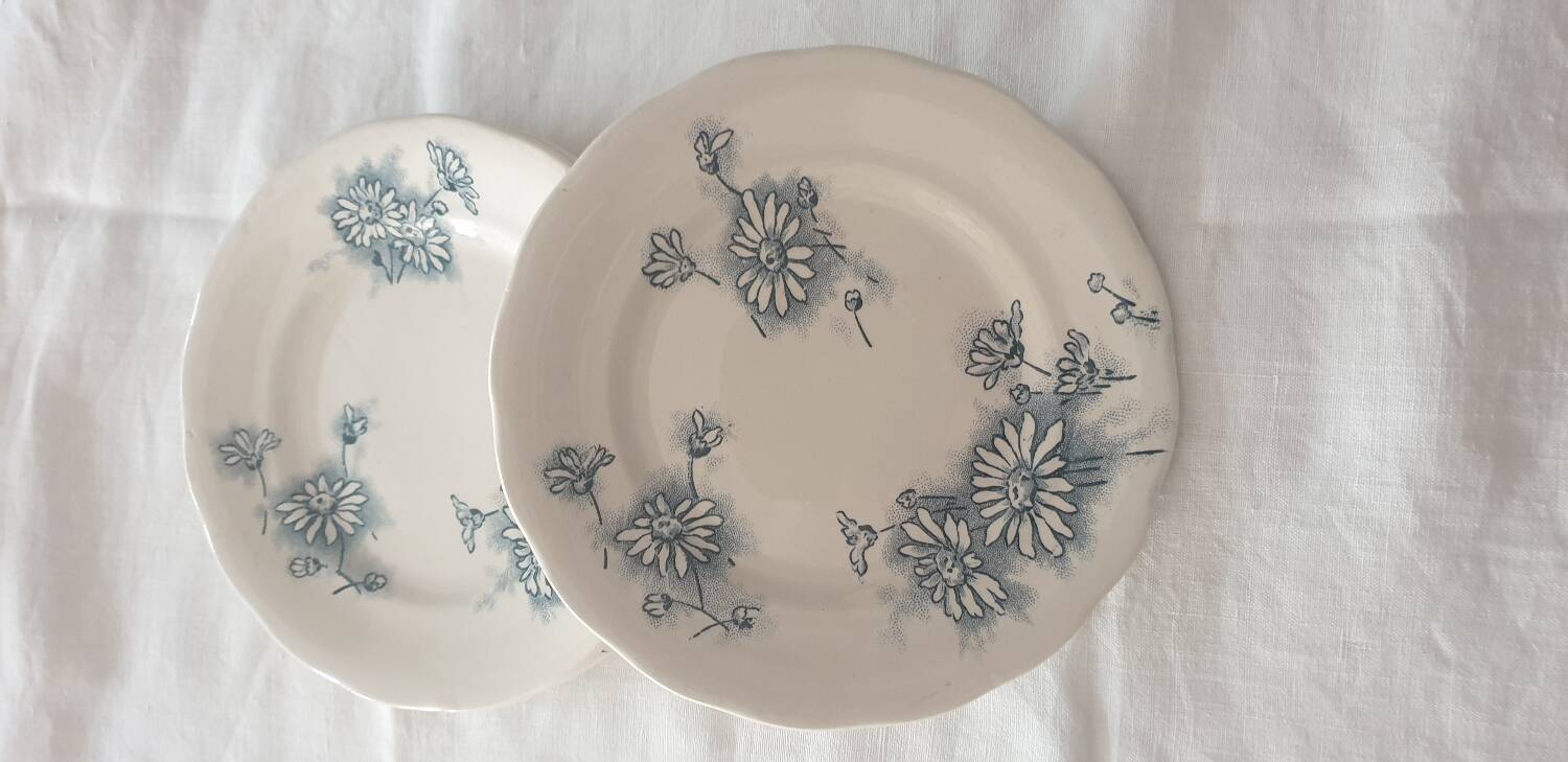 Four Marguerite plates