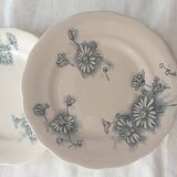 Four Marguerite plates
