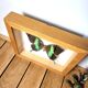 Butterfly frame Papilio blumei