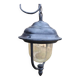 Outdoor pendant light
