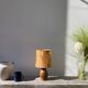 1970s brown ceramic lamp with foliage shade