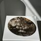 Dish in petrified wood