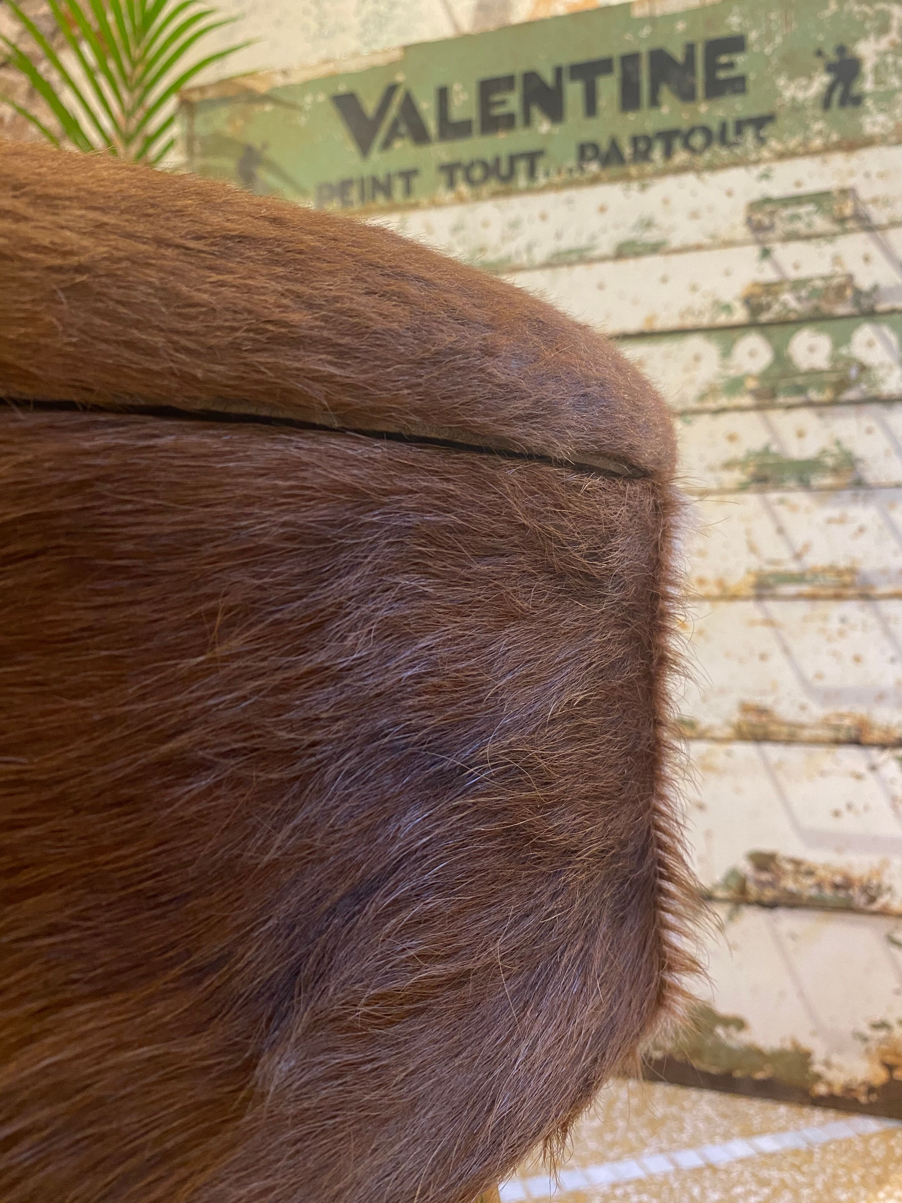 Tripod cowhide stool