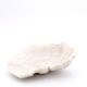 white coral empty pocket shape, cabinet of curiosities, 70s