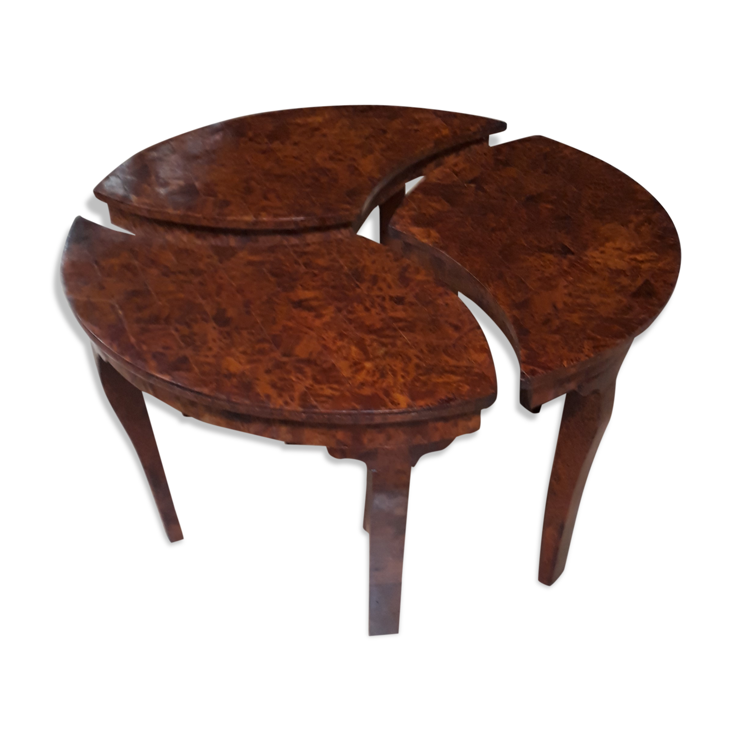 Coffee table in thuya magnifying glass 1960