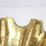 Empty brass "shell" pocket