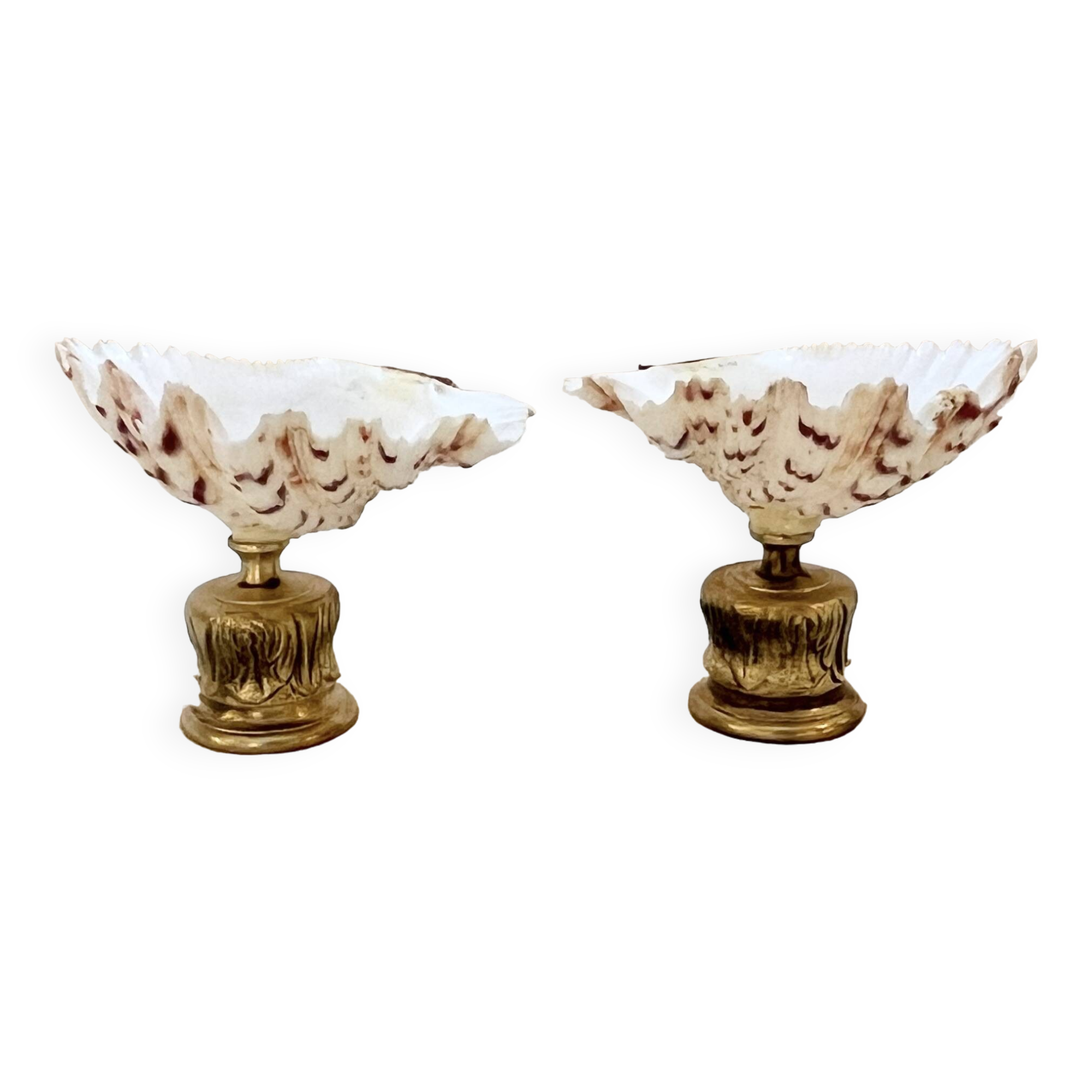 sel et poivre coquillage bénitier naturel bronze cabinet de curiosités salière poivrier coquetier