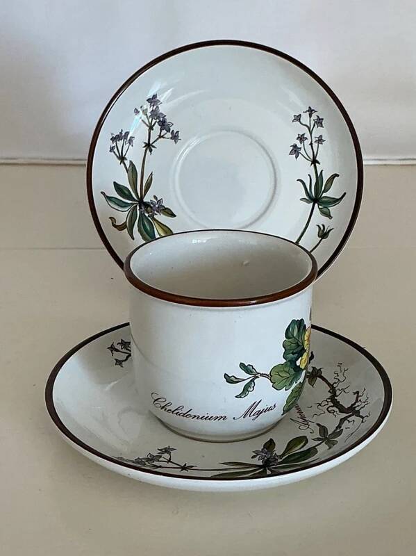 Cup Chelidonium Majus & Saucer Asperula Odorata - Villeroy & Boch Botanica
