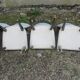 Suite of 6 dining chairs 50'S s imitation gray leather