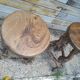 Pair of bar stools in vintage vine feet