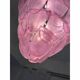 Modern Italian "Petals" Chandelier in Pink Murano Glass