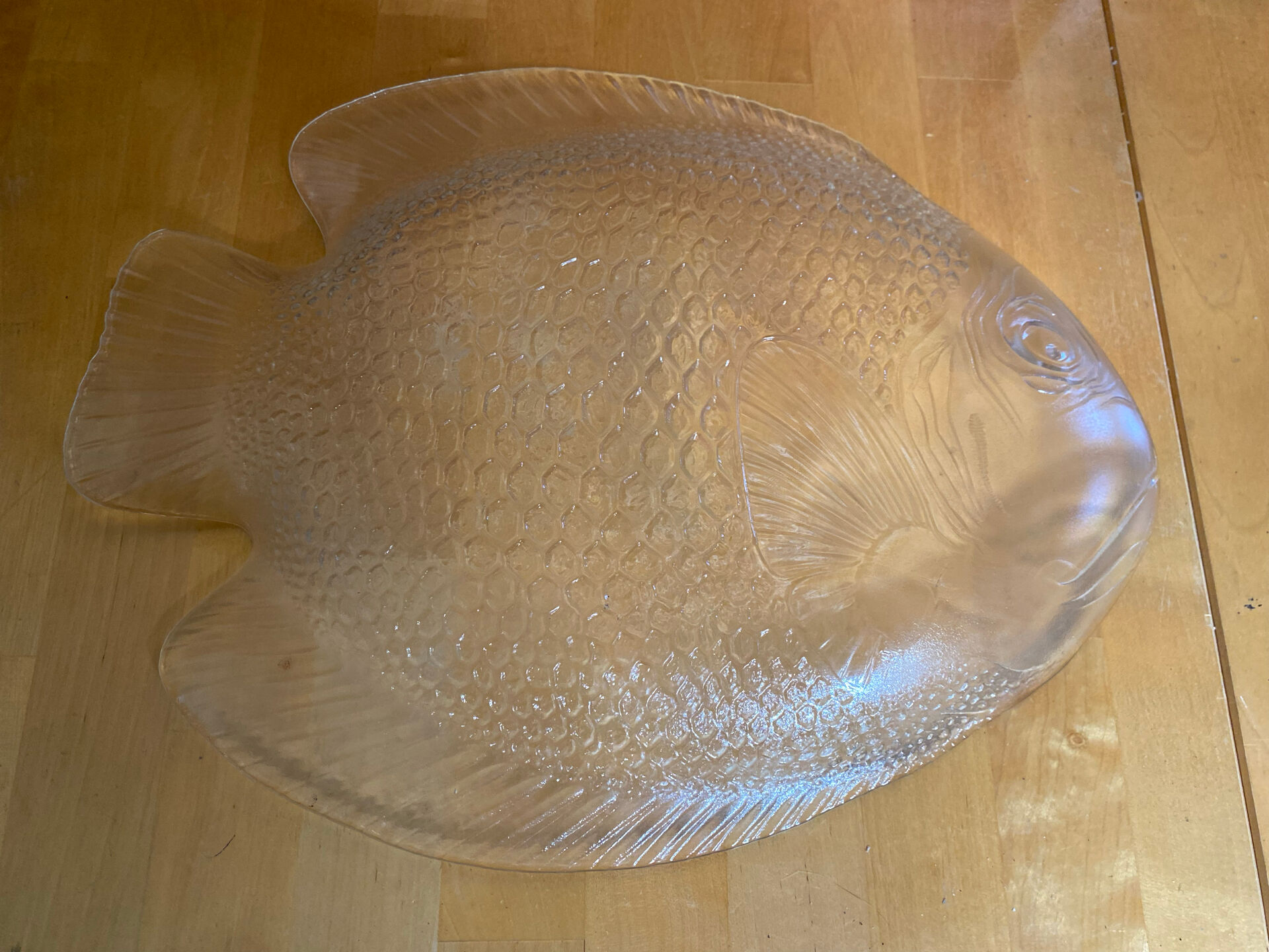 Plate + 5 ARCOROC Fish Shape Glass Mould Plates + Vintage Box #