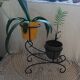 Antique wrought iron plant stand