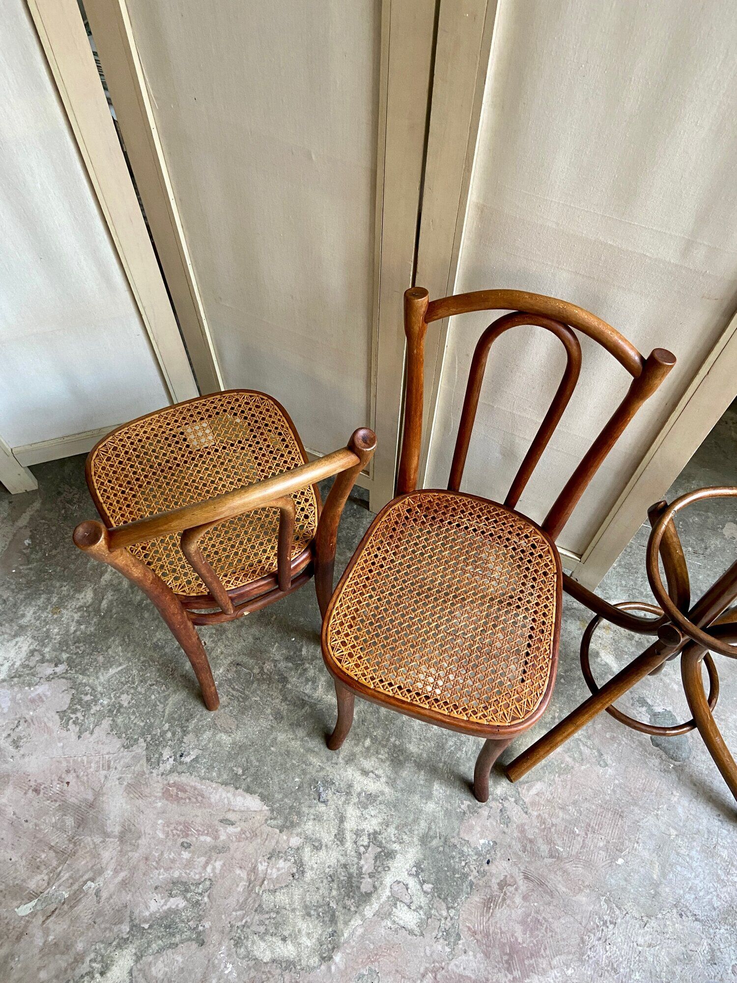Chair 56 in arched beech and canning by Michael Thonet for Thonet Wien