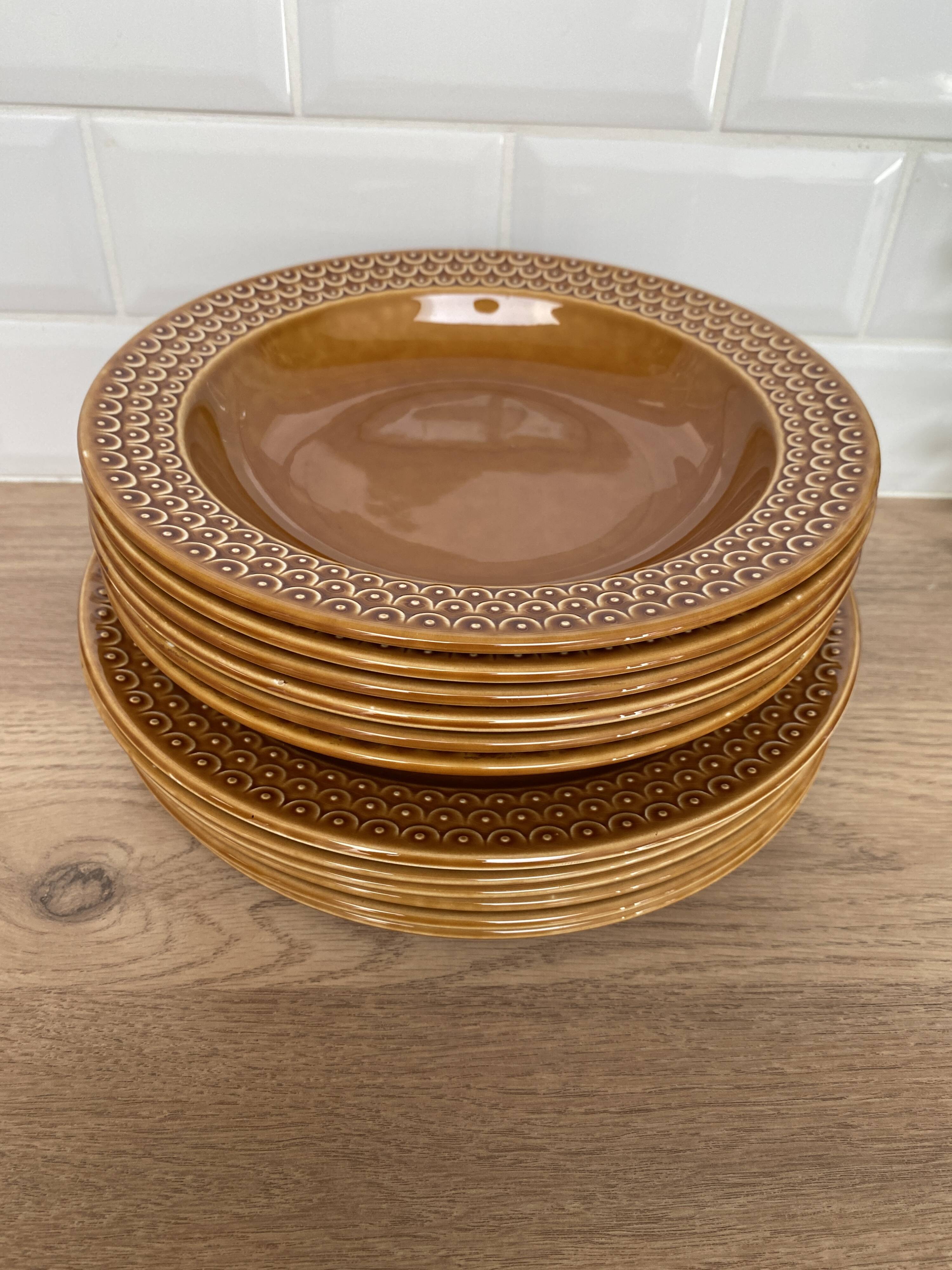 Set of 12 Pagnossin earthenware plates
