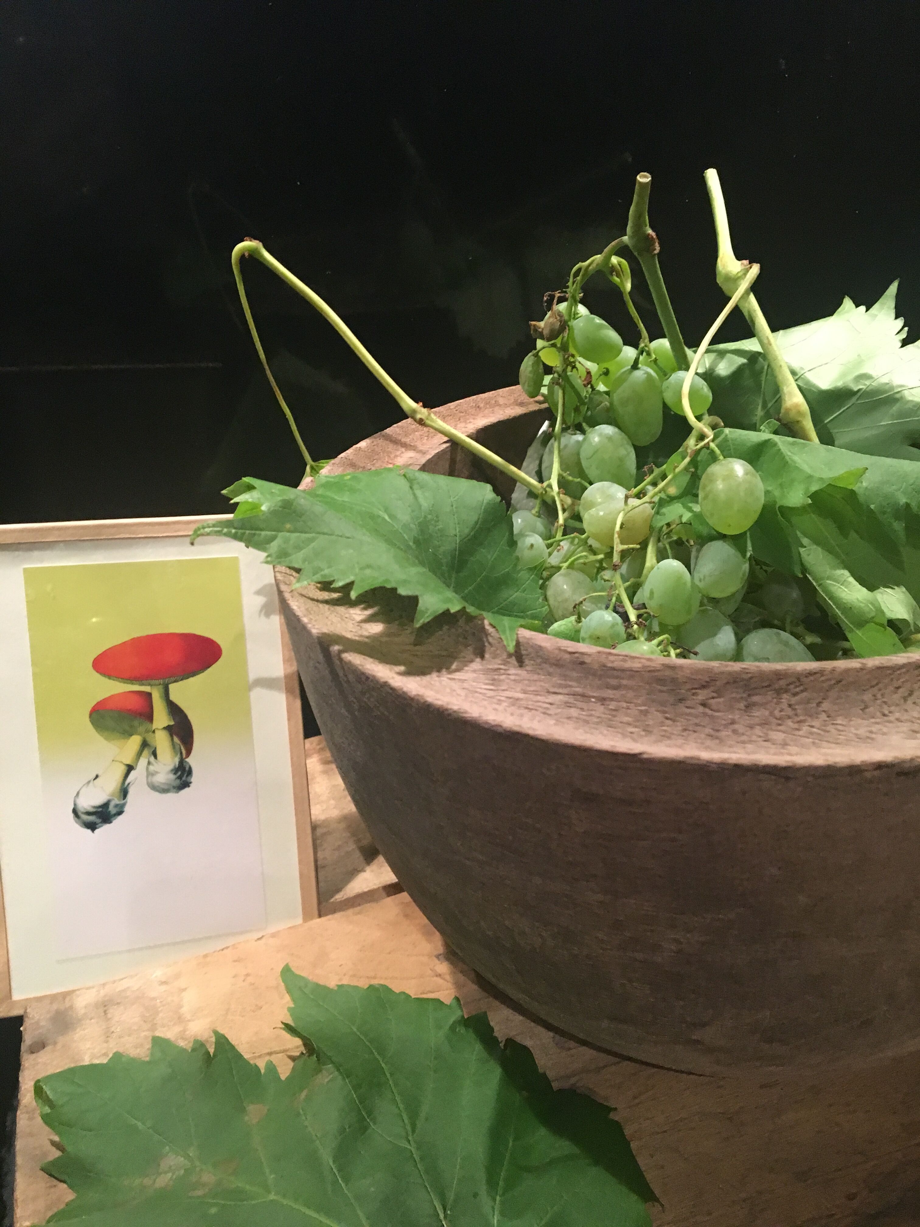 Raw wooden salad bowl