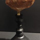 Cabinet of Curiosities shell cypraecassis rufa on base