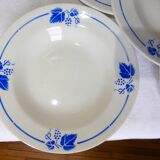5 Roselys deep plates, vine pattern
