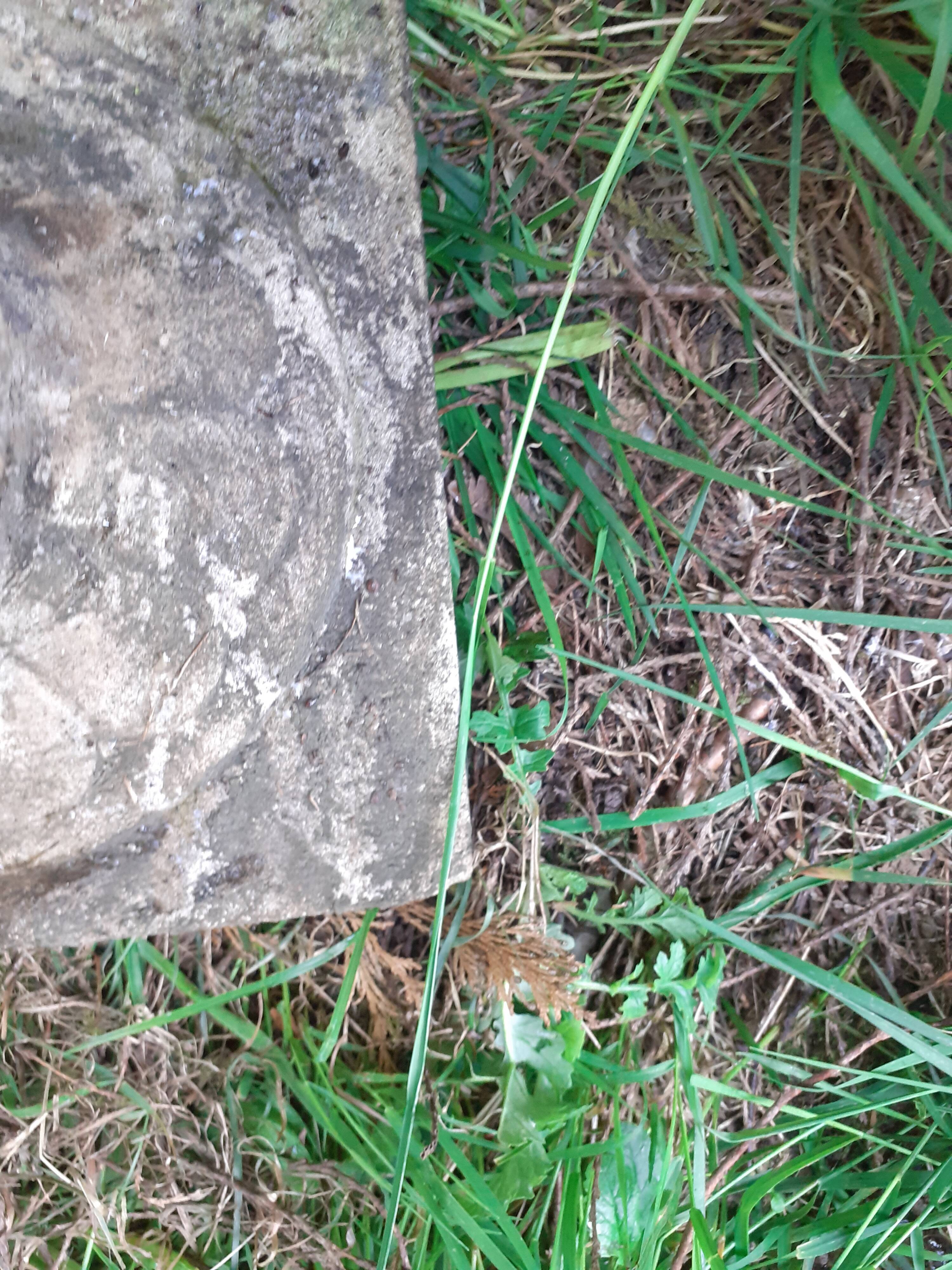 Pair of stone planter medicis