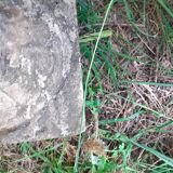 Pair of stone planter medicis