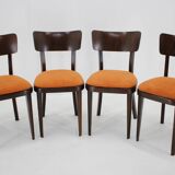 1950s Set of Four Restored Dining Chairs, Czechoslovakia