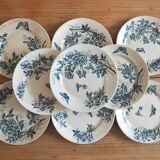 Old Badonviller Plates