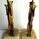 Book-greenhouses Napoleon III gilded bronze signed, Wolves on marble terrace