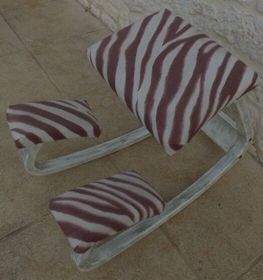 Ergonomic style chair for the office